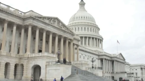Washington DC Capitol Building Stock Footage 83181180