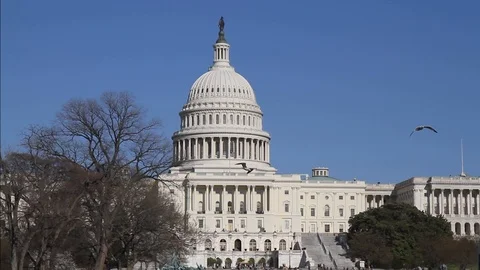 Washington D.C. Capitol Stock Footage 103058110