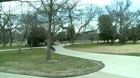 Washington DC Capitol, path in parc and building Stock Footage 10819228