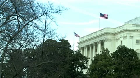 Washington DC Capitol, trees and building Stock Footage 10819237