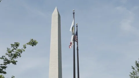 Washington, D.C. circa-2018 Washington Monument with Flags 120 FPS Slow Motion Stock Footage 111234700