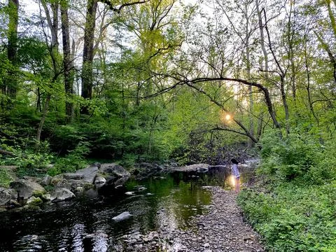 Washington DC Creek Stock Photos