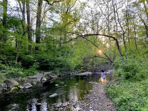 Washington DC Creek Stock Photos