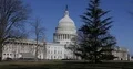 Washington DC Crowd of Tourists People Visiting Us Capitol Building Usa Daylight 4k or 4k+ Resolution