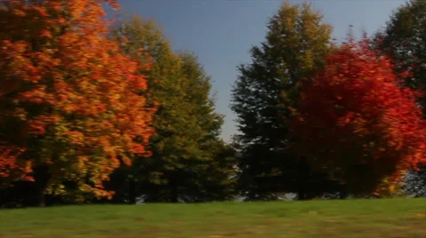 Washington DC Driving in the Fall Stock Footage 51463382