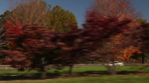 Washington DC Driving in the Fall Stock Footage 51463829