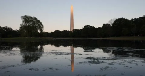 Washington, DC duck pond Video stock 131066504