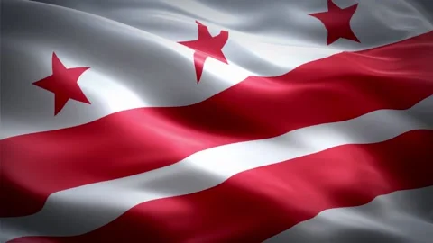 Washington DC Flag Video stock 235854966