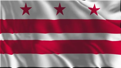 Washington D.C. Flag slowly waving Stock Footage 340235847