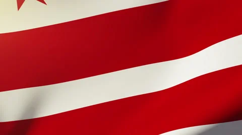 Washington dc flag waving in the wind. Looping sun rises style.  Animation loop Stock Footage 48207491