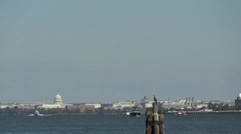 Washington DC 스톡 동영상 12367182