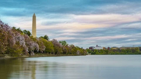 Washington DC Vídeo Stock 85864812