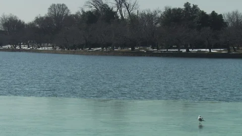 Washington DC Stock Footage 123934707