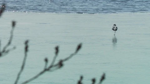 Washington DC Stock Footage 123934765