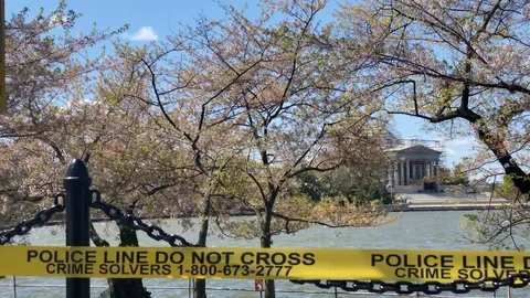 Washington DC A Ghost Town due to COVID-19 Restrictions Video stock 127642384