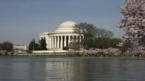 Washington DC Jefferson Monument cherry blossom festival 4K 068 Stock-Footage 49672084