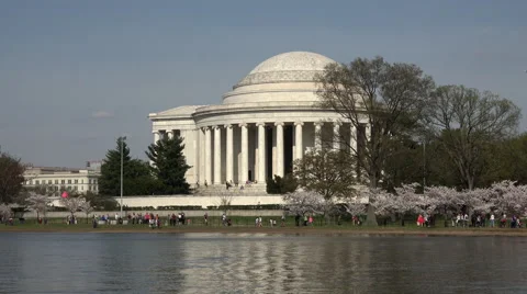 Washington DC Jefferson Monument cherry blossom tourist walk 4K 069 Stock Footage 49693475