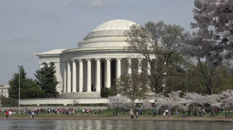 Washington DC Jefferson Monument cherry blossoms HD Stock Footage