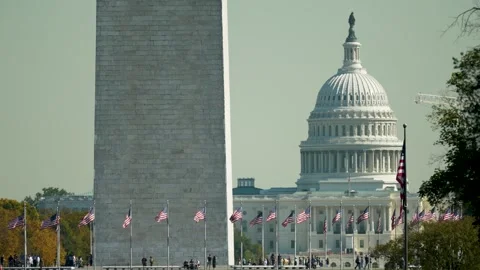 Washington DC Landmark View with Flags Stock Footage 289303679