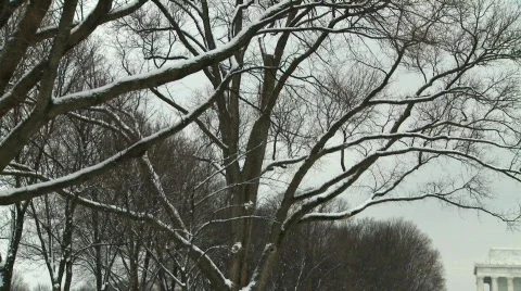 Washington D.C. Lincoln Memorial Winter Snow Stock Video Footage Stock Footage