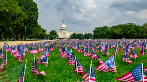 Washington DC Mall Flag Installation Timelapse Video stock 311212843