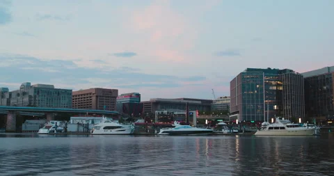 Washington DC Marina In Summer Video stock 171048233
