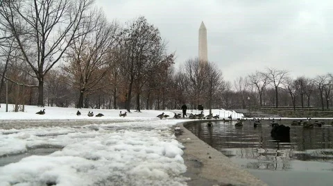 Washington D.C. Memorial Reflecting Pool Winter Snow Stock Video Footage Stock Footage