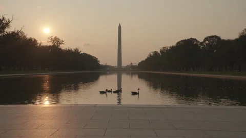 Washington DC Monument 13 Stock Footage 276959385
