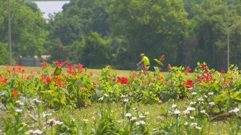 Washington, DC overview Stock Footage 80691