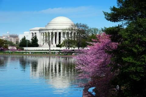 Washington dc Foto stock