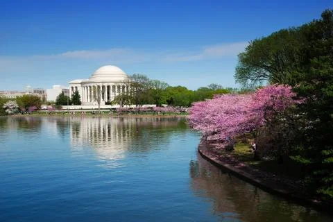 Washington dc Stock Photos