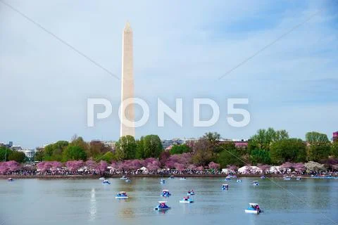 Washington dc Stock Photos
