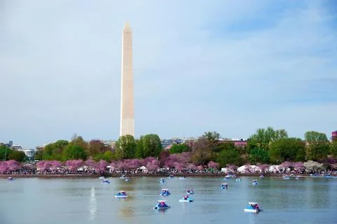 Washington dc Stock Photos