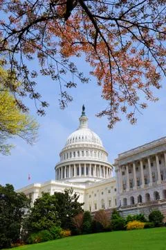 Washington dc. Stock Photos