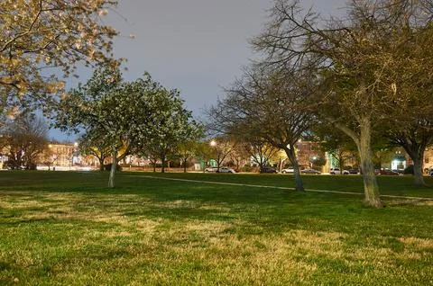 Washington D.C. Stock Photos