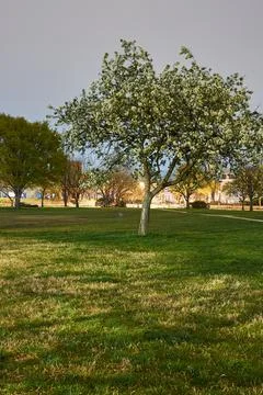 Washington D.C. Stock Photos