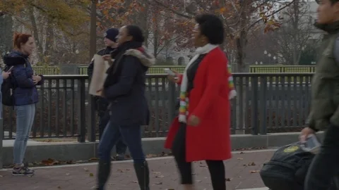 Washington DC Protest Stock Footage 83180833