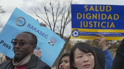 Washington DC Protest Stock Footage 83181014