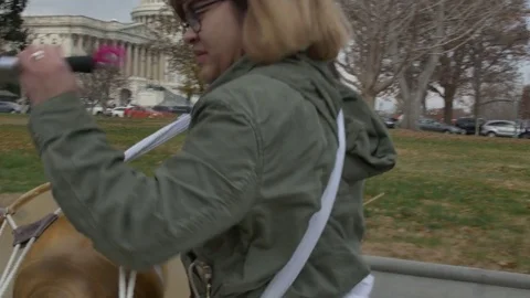 Washington DC Protest Stock Footage 83181077