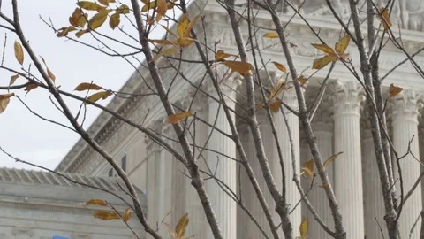 Washington DC Protest Sign Stock Footage 83180548