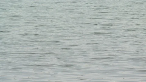 Washington DC River Stock Footage 123820427