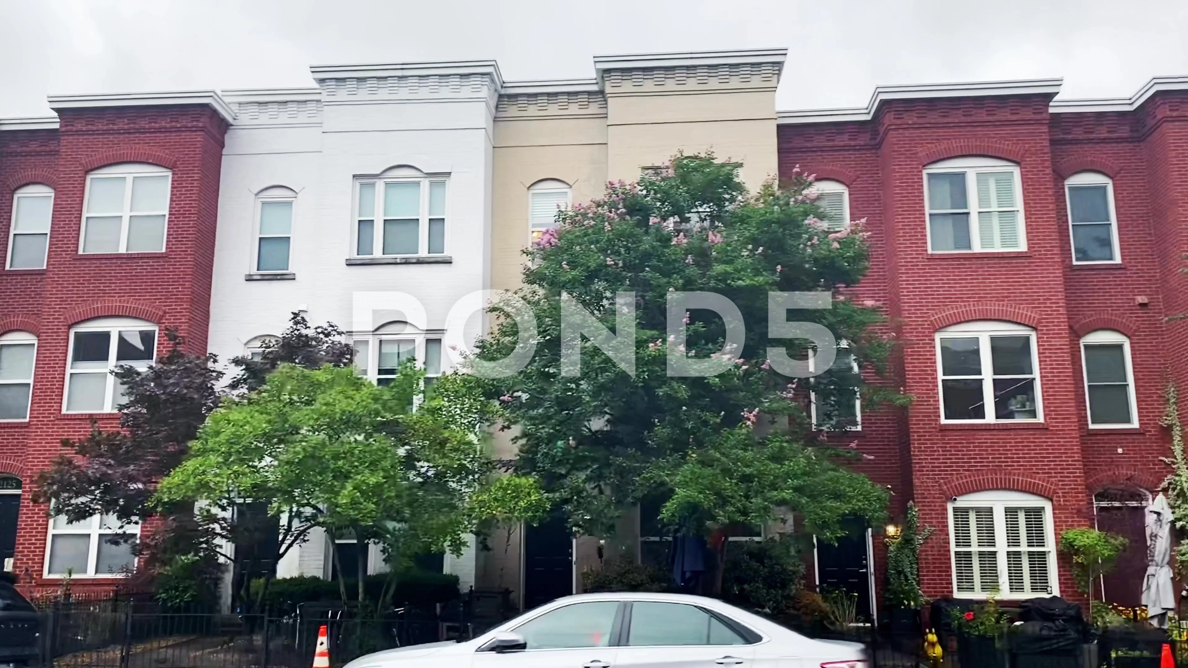 Washington DC Row Houses on 13th Street NW and U Street Driving Plate