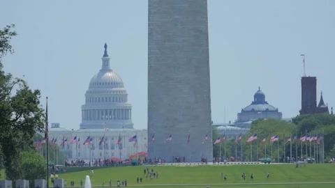 Washington DC Skyline View: Capitol Building, Washington Monument, and other Stock Footage 311392858
