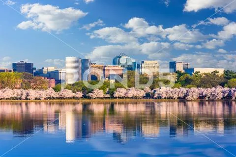Washington DC in Spring Stock Photos