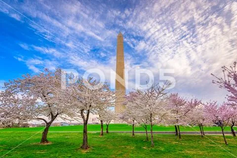 Washington DC in Spring Stock Photos