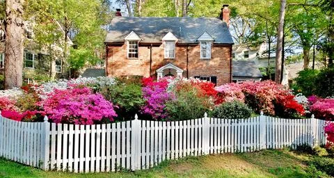 Washington DC spring time azaleas in the gardens Stock Photos