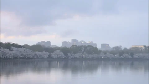 Washington DC Storm at Tidal Basin Day to Night Timelapse Video stock 157694576