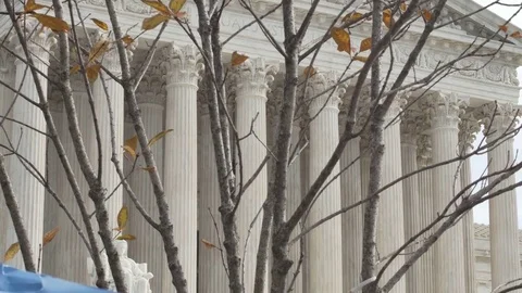 Washington DC Student Protest Sign Stock Footage 83180506