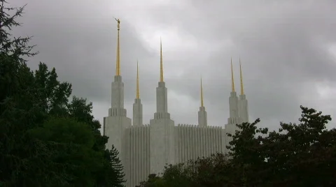 Washington DC Temple over the trees Video stock 513167