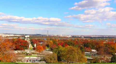 Washington D.C. in Timelapse Stock Footage 59173314